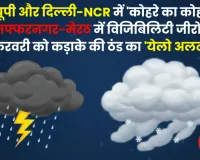 वेस्ट यूपी और दिल्ली-NCR में 'कोहरे का कोहराम': मुजफ्फरनगर-मेरठ में विजिबिलिटी जीरो, 4 फरवरी को कड़ाके की ठंड का 'येलो अलर्ट'