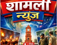 एनजीटी की बड़ी कार्रवाई: शामली के 'आयनेक्स टेक्सटाइल पार्क' के निर्माण पर तत्काल रोक, अवैध निर्माण और पर्यावरण नियमों के उल्लंघन पर केंद्र व राज्य सरकार को नोटिस