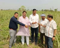 शामली: गन्ना फसल में टाप बोरर कीट नियंत्रण को लेकर किसानों को जागरूक किया गया