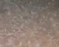 मुजफ्फरनगर: बेमौसम बारिश और ओलावृष्टि ने तोड़ी किसानों की कमर, सरसों और गेहूं की फसलें तबाह