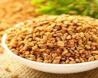 त्रिदोष संतुलन से लेकर वजन नियंत्रण तक, पोषक तत्वों से भरपूर सुपरफूड ये पीला दाना