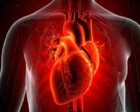 कोलेस्ट्रॉल बीमारी नहीं, खराब जीवन शैली का संकेत; जानें क्या कहता है आयुर्वेद 