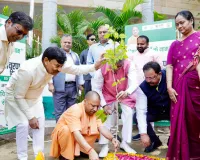 यूपी को ‘हरित प्रदेश’ बनाने में जुटी प्रदेश सरकार, 9 वर्ष में लगाए गए 242 करोड़ से अधिक पौधे