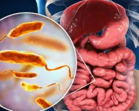 क्यों फिट बॉडी और माइंड के लिए जरूरी है 'हिट' माइक्रोबायोम? 