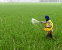 पीएम-किसान योजना के तहत लाभार्थियों को जारी राशि ₹4.27 लाख करोड़ के पार.. करोड़ों किसानों के खातों में पहुंची 22 वीं किस्त