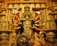 इन नौ आयुर्वेदिक औषधियों के पौधों में बसती हैं नवदुर्गा, सेहत के लिए है वरदान