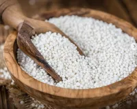 नवरात्रि विशेष: हल्का, पौष्टिक और थकान दूर करने वाला आहार 'साबूदाना,' व्रत में सेहत का रखे खास ख्याल 