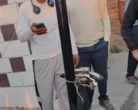 मेरठ: एटीएम चोर की बेरहमी से पिटाई, खंभे से बांधकर घंटों बनाया बंधक