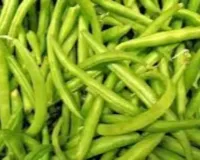 ग्वार की खेती से बदल सकती है किसानों की किस्मत अंतरराष्ट्रीय बाजार में ग्वार गम की बढ़ती मांग से मिलेगा बड़ा मुनाफा