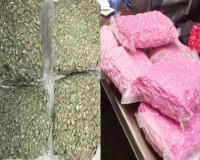 लखनऊ एयरपोर्ट पर बैंकाॅक से आए दाे यात्रियों के पास मिला करोड़ों का मादक पदार्थ