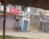  मशरक में बंदर ने तीन दिनों में 60 से ज्यादा लोगों को काटा