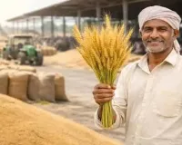मध्यप्रदेश में गेहूं 2700 रुपये तक पहुंचने की संभावना बोनस बढ़ाने पर टिकी किसानों की नजर