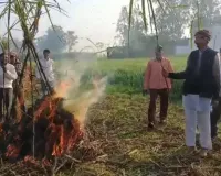 संभल में किसानों ने गन्ने की होली जलाकर जताया विरोध, 600 रुपये प्रति क्विंटल मूल्य की मांग