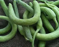 Agriculture Tips: गर्मियों में 50 से 60 दिन में तैयार होने वाली फसल से किसानों को मिलेगा तेज मुनाफा ककड़ी की खेती बन रही नई उम्मी