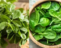 गर्मियों में घर पर उगाएं पालक और मलमला, कम खर्च में पाएं ताजी सब्जियां और बेहतर सेहत