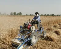 गेहूं की कटाई के लिए टॉप 5 मशीन जानें कैसे कम मेहनत में होगी ज्यादा बचत और आसान खेती