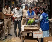 शामली में अवैध रूप से तोते बेचने वाले तीन गिरफ्तार, वन विभाग और एनिमल शेल्टर की कार्रवाई