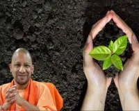 योगी सरकार का मिशन 'हरित प्रदेश', अब 2026 में 35 करोड़ पौधरोपण का नया लक्ष्य 