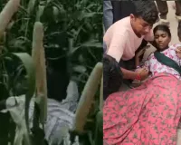 रेवाडी में रोडवेज बस से गिरी छात्रा, दोनों पैरों के ऊपर से गुज़रा टायर, गुस्साए ग्रामीणों ने लगाया जाम, बाजरे के खेत में छिपे ड्राइवर को ग्रामीणों ने धुना