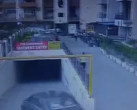 गाजियाबाद में 6 साल की मासूम पर तीन आवारा कुत्तों का खौफनाक हमला, CCTV में कैद हुई पूरी घटना; गंभीर घायल