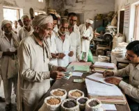 शामली में रबी बीजों की ऑनलाइन बुकिंग का अवसर, 30 सितंबर तक कराएं पंजीकरण