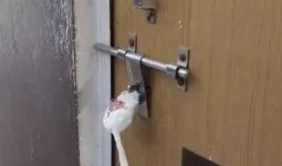 गौतमबुद्ध नगर में मानक उल्लंघन पर अल्ट्रासाउंड सेंटर सील, भ्रूण लिंग परीक्षण रोकने की कार्रवाई