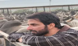 इंडस्ट्री से एकजुट होने की अपील : राजपाल यादव की मदद के लिए आगे आए सोनू सूद