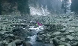 वेलेंटाइन डे पर एकता कपूर ने की नई फिल्म ‘हीर रांझा’ की घोषणा, साजिद अली करेंगे निर्देशन