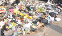 शामली: कैराना रोड पर गंदगी के ढेर, दुर्गंध से लोग परेशान