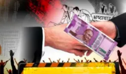 शामली: कान्हा गौशाला के नाम का उपयोग कर ऑनलाइन वसूली, डीएम को शिकायत