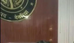 शालिनी श्रीवास्तव के निलंबन पर डायट प्राचार्य अनिल कुमार को मिला बीएसए का अतिरिक्त कार्यभार