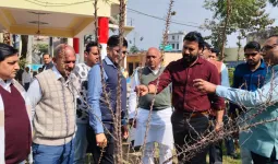 शामली: जिलाधिकारी ने जलालाबाद नगर पंचायत कार्यालय का निरीक्षण कर व्यवस्थाओं और विकास कार्यों की समीक्षा की