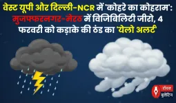 वेस्ट यूपी और दिल्ली-NCR में 'कोहरे का कोहराम': मुजफ्फरनगर-मेरठ में विजिबिलिटी जीरो, 4 फरवरी को कड़ाके की ठंड का 'येलो अलर्ट'