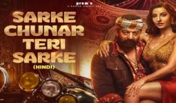 गंदे इशारे, महिलाओं का अपमान और फूहड़ता... 'मैनिएक' से 'चुनर सरके' तक, जब गानों में पार हुईं अश्लीलता की हदें