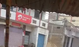  मशरक में बंदर ने तीन दिनों में 60 से ज्यादा लोगों को काटा