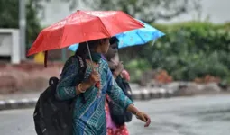 मध्य प्रदेश में बदलेगा मौसम का मिजाज, चार दिन आंधी-बारिश का अलर्ट, ग्वालियर-जबलपुर में बरसेंगे बादल