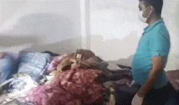 फतेहपुर: धारदार हथियार से मां-बेटे की हत्या, चाचा ने उठाया ये खौफनाक कदम, तीनों की मौत