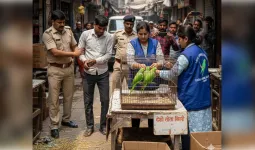 शामली में अवैध रूप से तोते बेचने वाले तीन गिरफ्तार, वन विभाग और एनिमल शेल्टर की कार्रवाई