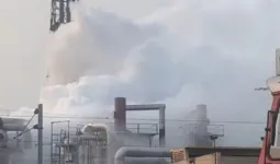 पालघर गैस लीक: तारापुर MIDC की भगेरिया केमिकल फैक्ट्री से ओलियम गैस रिसाव; 458 लोग निकाले गए.. इलाके में हड़कंप 