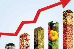 व्यंग्य: दो चित्र महंगाई के