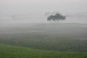 बिहार में मौसम का यू-टर्न! 15 जिलों में आंधी-पानी की चेतावनी, 40km की रफ्तार से चलेंगी हवाएं