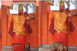 आस्था या चमत्कार ? 36 घंटे से हनुमान जी की परिक्रमा करता रहा कुत्ता, गांव में हैरानी