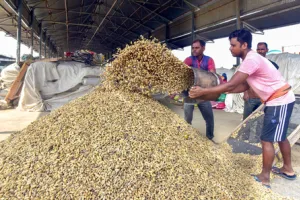 बेरोजगारी रिपोर्ट: दिसंबर में भारत की बेरोजगारी दर 4.8 प्रतिशत रही; शहरी क्षेत्रों में महिलाओं की स्थिति में सुधार