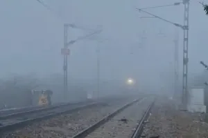 मौत के मुंह से निकले 40 यात्री.. कोहरे के कारण ट्रक से टकराई लग्जरी बस, आग के गोले में तब्दील हुआ वाहन