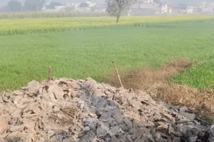 बागपत: बिटौड़े में मिला अज्ञात जला हुआ शव, इलाके में सनसनी, गायब महिला से संबंध की जांच जारी