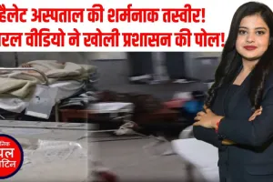 कानपुर का हैलेट अस्पताल बना डॉग हॉस्टल? जच्चा-बच्चा वार्ड में घूमते आवारा कुत्ते!