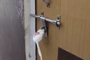 गौतमबुद्ध नगर में मानक उल्लंघन पर अल्ट्रासाउंड सेंटर सील, भ्रूण लिंग परीक्षण रोकने की कार्रवाई