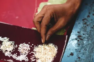 यूपी: ओडीओपी से जरी-जरदोजी को वैश्विक बाजार, सुरक्षा और सुशासन से तरक्की की रफ्तार तेज