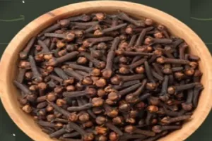 गर्मियों में शरीर को ठंडा रखने में लौंग करेगी मदद, बस जान लें ये शानदार टिप्स 