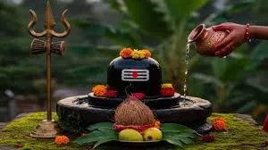 Mahashivratri 2026: मंदिर नहीं जा पा रहे हैं तो घर पर ऐसे करें शिव पूजा, अमृत मुहूर्त में अभिषेक से मिलेगा अपार आशीर्वाद और पूरी होंगी मनोकामनाएं